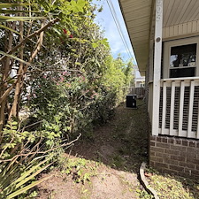 Lawn-Cleanup-in-Conway-SC 1